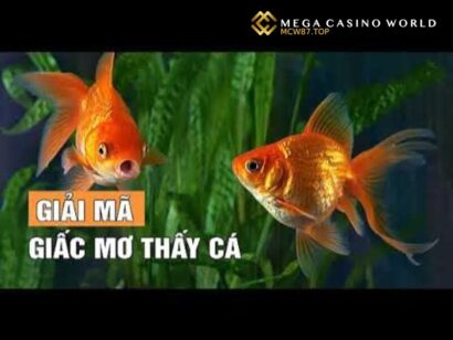 Mơ thấy cá